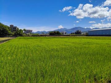 城區房仲顧問 宜蘭員山足坪農地可申請農舍