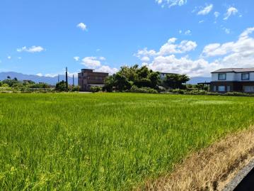 城區房仲顧問 宜蘭冬山柯林足坪農地