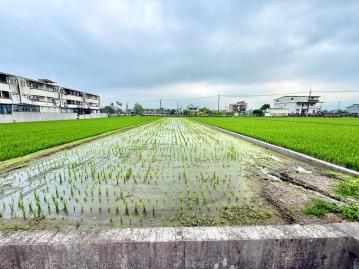 羅東數位房仲 大洲國小旁給您最棒最優質環境小農地