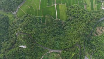 羅東數位房仲 三星大隱超便宜山坡地
