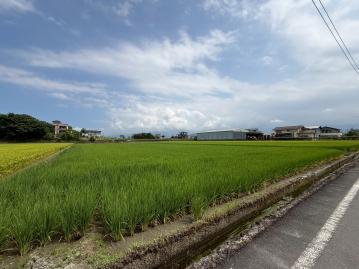 羅東數位房仲 鄰近羅運大面寬方正清悠美農地