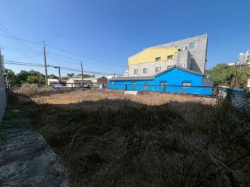 麻豆寮廍段交流道附近百坪建地-台南金牌房仲