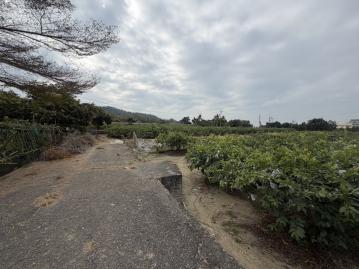 高雄土地職人 燕巢燕東段水電農舍美地持分套繪休閒莊園
