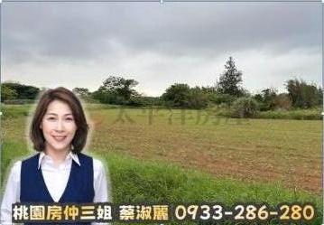 桃園房仲三姐|大園超便宜農地|許厝港