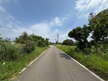 桃園房地產仲介 大園南港段一般農地(專任)