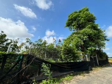 台南房仲顧問 綠園牧場旁雙面路文旦園