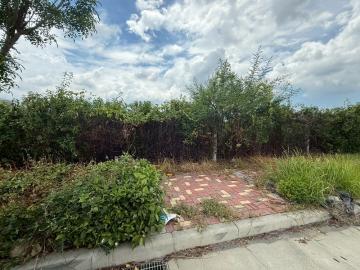 住商高雄好市多大順 台南麻豆甲種工業地~近千坪