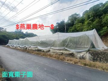 ⭐燕巢近高應大⭐有靠山有水源⭐三面臨路農地(一)