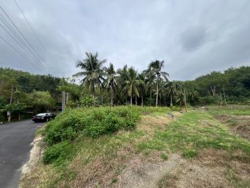 甲仙行政區農地/近甲仙觀光區/格局方正/非都市計畫區農地
