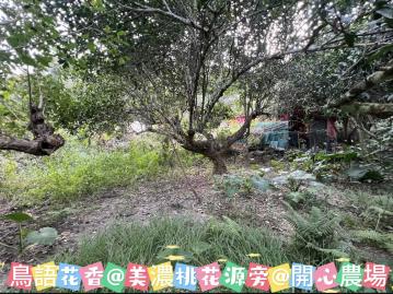 鳥語花香★美濃桃花源魚場旁★退休慢活首選開心農場