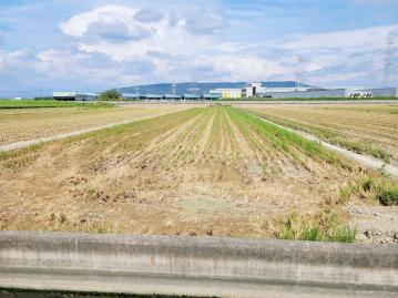 路竹區下坑段農保農作小農地~張秀香0956849917房屋土地買