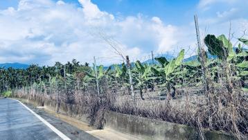 屏東萬巒漂亮農地~張秀香0956849917房屋土地買賣