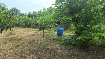 官田2.7分美農地 幸福買賣