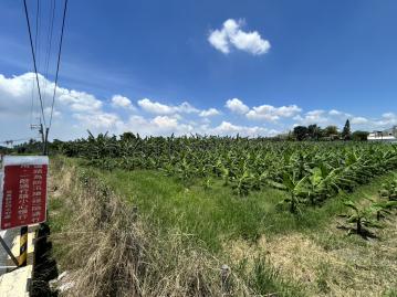 頭前溪農地 屏東市農地
