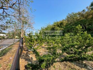 竹崎交流道正竹民路農地