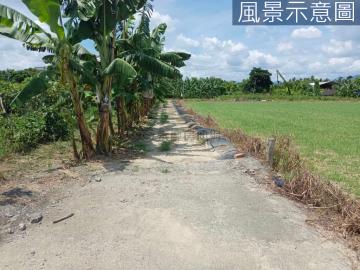 旗山方正漂亮農地