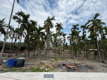 屏東土地《佳冬農會方正農地F》