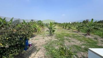 高雄土地《岡山嘉華產業區超值方正農地》