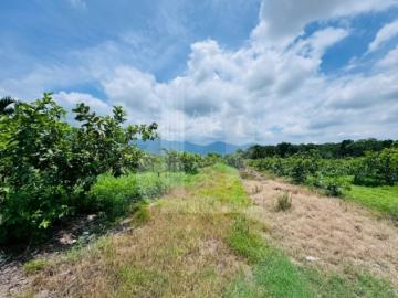 屏東土地《獨家-高樹菸樓．山景農居》