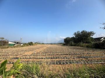 屏東土地-觀夕陽-高樹休閒農地