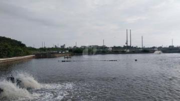 屏東土地《屏東枋寮9.5分都計魚塭農地》