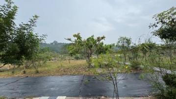 屏東土地《高樹山間雲霧一畝田》
