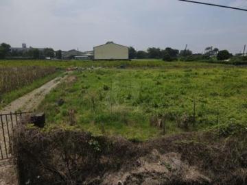 屏東土地《萬丹超方正土地》