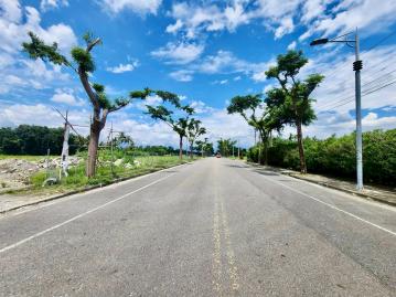屏東市雙面路工業用地 屏東農地 屏東農地女王