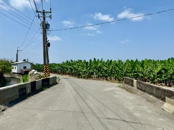 屏東高樹田子國小4分農地 屏東農地 屏東農地女王