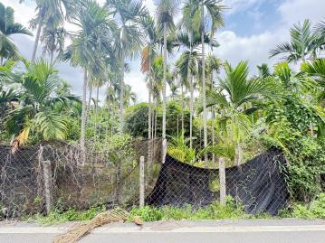 屏東萬巒優質便宜美農地 屏東農地 屏東農地女王
