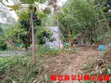 K297員山路公共設施用地-1 樹林土地推薦