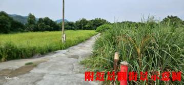 K863三鶯二橋旁土地 樹林土地中信劉蕙蘭