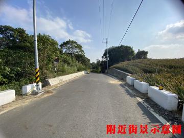 K288專約關廟鳳梨園1 台南關廟農地中信劉蕙蘭