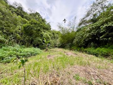 南投房地產 中寮仙峰臨溪休閒農地2.5分