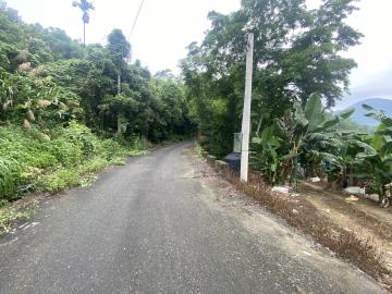南投房地產 集集崙龍景觀農地7.3分