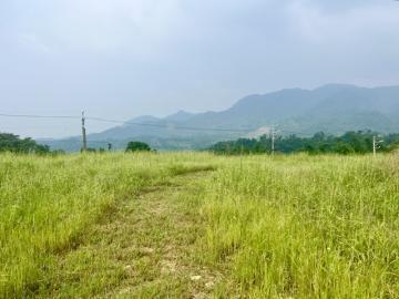 南投房地產 竹山田東路景觀農地8.1分
