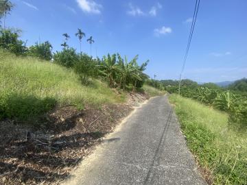 南投房地產 中寮挑米坑柳丁園3.6分