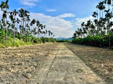 南投房地產 中寮國中都計內農建地4.5分