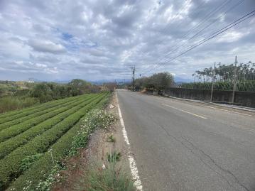 南投房地產 名間新厝路休閒小茶園1分