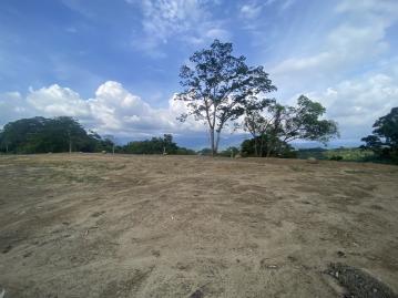 南投房地產 中寮仙峰景觀農地2.7分