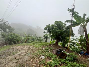 南投房地產 南投包尾山果園農地3.8分