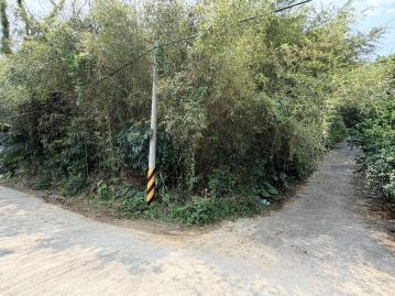南投房地產 中寮廣興桂竹林1.3分