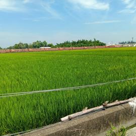 斗南石龜車站建地