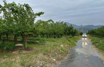關山月眉釋迦園農地-專任 台東農地農舍 台東土地買賣 