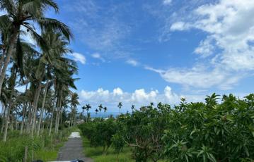 東河隆昌老農地A 台東農地農舍 台東土地買賣