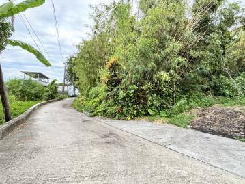 成功鎮三民段建地 台東農地農舍 台東土地買賣