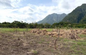 東河南佳里農地 台東農地農舍 台東土地買賣