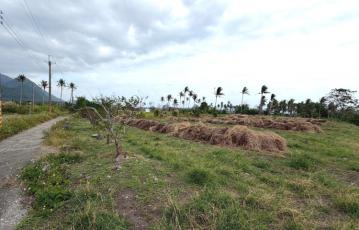 東河興隆看海農地A 台東農地農舍 台東土地買賣
