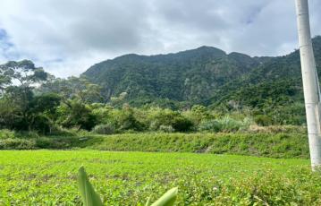 都歷一甲半農地 台東農地農舍 台東土地買賣