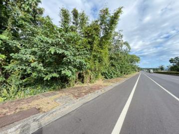 迷你農地 台東農地農舍 台東土地買賣